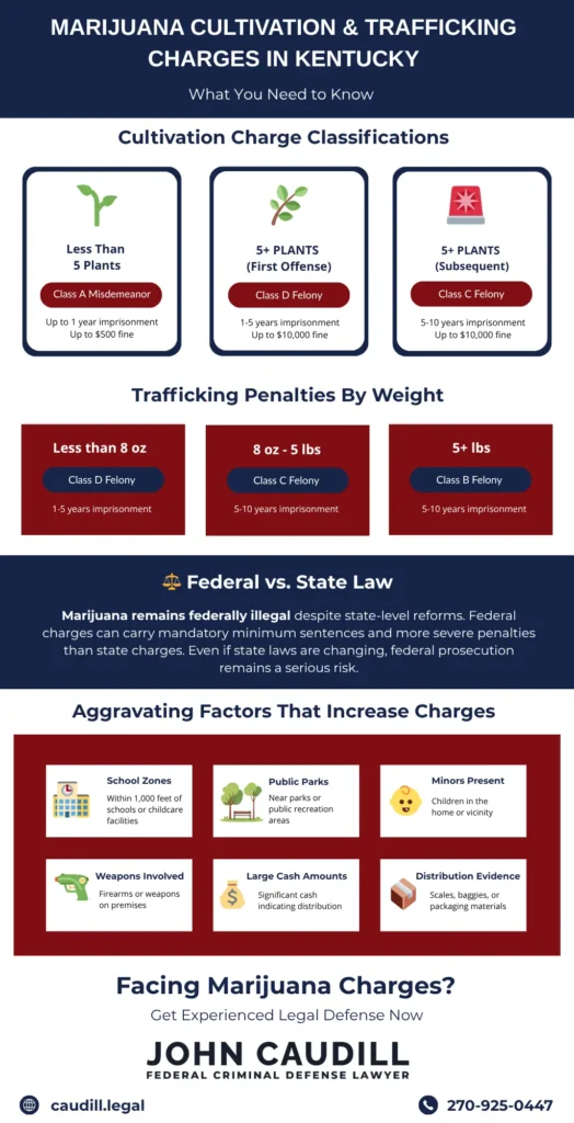 MARIJUANA CULTIVATION & TRAFFICKING CHARGES IN KENTUCKY
