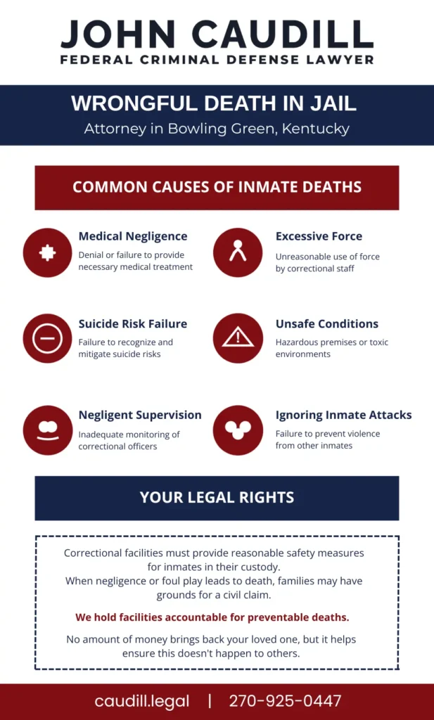 This Infographic shows the common causes of wrongful death in Jail